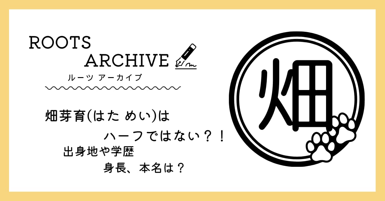 畑芽育,ハーフ,本名,学歴,身長,出身地